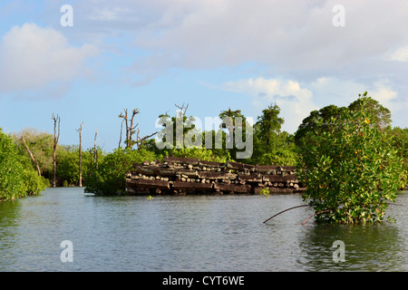 Ruines de la ville de Nan Madol, la 'Venise du Pacifique", district de Madolenihmw, Pohnpei, États fédérés de Micronésie Banque D'Images