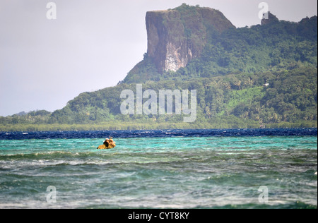 Avis de Sokehs Rock de Palikir, Pohnpei, Pohnpei, États fédérés de Micronésie Banque D'Images