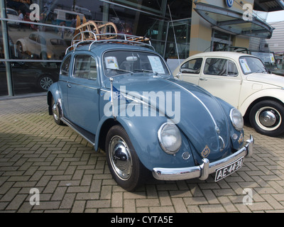 1959 Volkswagen Coccinelle VW 1/11 voiture Standard Banque D'Images