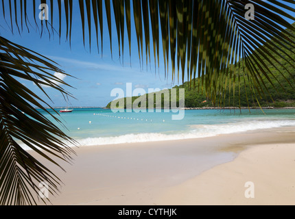 Plage des Caraïbes - Anse Marcel plage de l'île tropicale et bateaux sur le côté français de Saint Martin / Sint Maarten dans les Caraïbes Banque D'Images