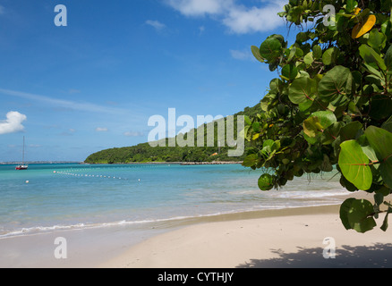 Anse Marcel beach et bateaux sur la partie française de St Martin Sint Maarten Antilles Banque D'Images