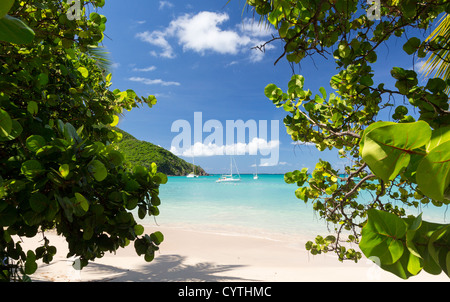 Anse Marcel beach et bateaux sur la partie française de St Martin Sint Maarten Antilles Banque D'Images