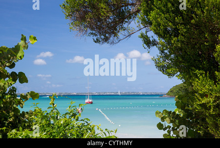 Anse Marcel beach et bateaux sur la partie française de St Martin Sint Maarten Antilles Banque D'Images