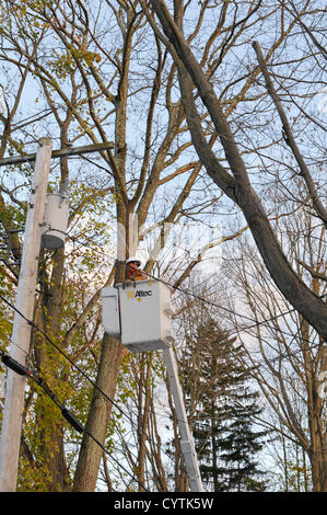 USA, 9 novembre 2012 : Journée de sable - 11 équipages de l'across America donner un coup de main dans le comté de Westchester dans l'état de Jimmy Libby d'E&E Installation Électrique Inc. est venu de Boston Massachusetts pour aider la société de services publics Con Edison après l'Ouragan Sandy. Il répare les lignes électriques à Chappaqua New York pour les résidents qui ont été sans chaleur et d'électricité pendant 11 jours. © 2012 Marianne A. Campolongo. Banque D'Images