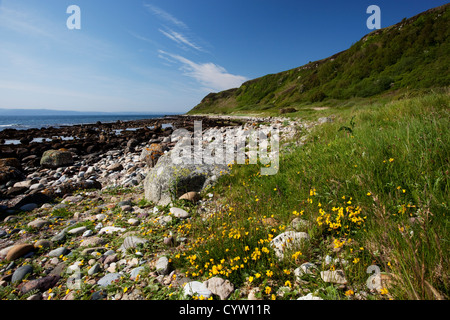 Afficher le long de la côte au Drumadoon près de Blackwaterfoot sur l'île d'Arran, Ecosse, Royaume-Uni Banque D'Images