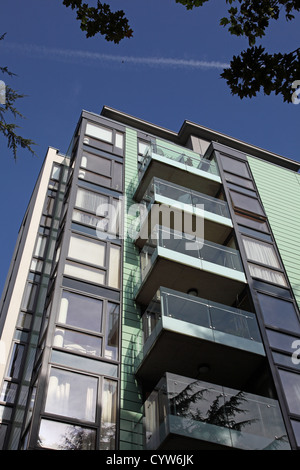 Roden Cour un bloc d'appartements de luxe modernes, Hornsey, dans le nord de Londres, UK Banque D'Images