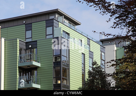 Roden Cour un bloc d'appartements de luxe modernes, Hornsey, dans le nord de Londres, UK Banque D'Images