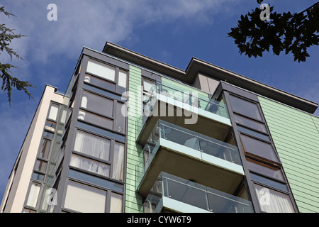 Roden Cour un bloc d'appartements de luxe modernes, Hornsey, dans le nord de Londres, UK Banque D'Images