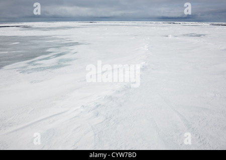 Pack de glace à la mer de Ross, Antarctique. Banque D'Images