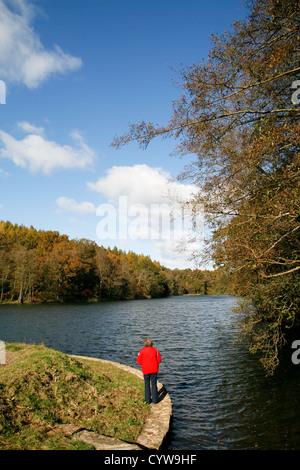 Walker Automne Étangs Cannop Forêt de Dean Gloucestershire England UK Banque D'Images