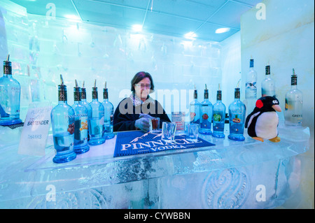 Les clients de l'Ice Bar Orlando, Floride. Banque D'Images