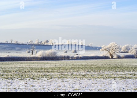 Domaines couverts dans une épaisse couche de givre en hiver Ternhill Shropshire en Angleterre Banque D'Images