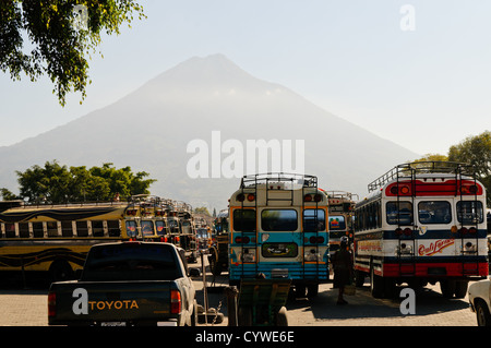 Bus de poulet Volcán de Agua Antigua Guatemala // ANTIGUA, Guatemala — des « bus de poulet » colorés sont garés dans le terminal de bus principal derrière le marché à Antigua, Guatemala, avec Volcán de Agua visible en arrière-plan. Ces autobus scolaires nord-américains réaffectés, connus localement sous le nom de « camionetas » ou « bus à poulet », servent de principal moyen de transport public à travers le Guatemala et une grande partie de l'Amérique centrale. Les bus sont généralement peints dans des couleurs vives et des motifs uniques à leurs itinéraires et propriétaires. Antigua, un site classé au patrimoine mondial de l'UNESCO, est entourée de trois volcans, avec le 3 760 mètres Banque D'Images