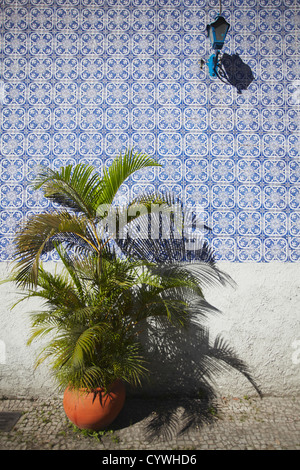 Sol carrelé mur de Notre Dame de l'église do Carmo, Lapa, Rio de Janeiro, Brésil Banque D'Images