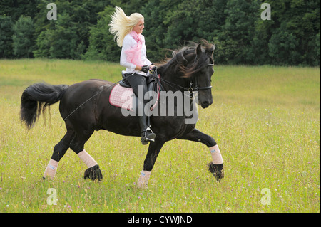 19 ans cavalier au dos d'un cheval frison trottant dans un pré Banque D'Images