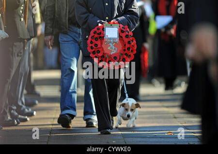 Brighton, UK. Dimanche 11 novembre 2012. Cette anciens combattants une avec un chien terrier dépose une couronne à l'acte de commémoration publique, à Brighton. Alamy Live News Banque D'Images