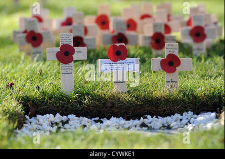 Brighton, UK. Dimanche 11 novembre 2012. De petites croix à l'acte de commémoration publique, à Brighton. Alamy Live News Banque D'Images