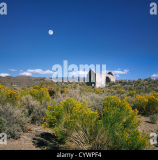 Un fanal de Lune donnant sur une cabane à Pierre sans toit et abandonnés dans le désert du Nevada, près de la vallée de la mort, États-Unis Banque D'Images
