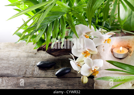 Concept Spa à orchidées décoration sur des planches de bois et des bougies Banque D'Images