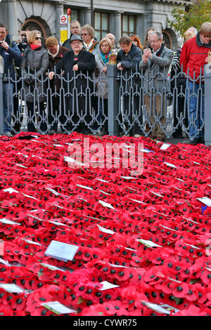 Londres, Royaume-Uni. 11 novembre 2012. Coquelicot coquelicots et couronnes jetées lors de la cérémonie du Souvenir le jour du Souvenir Dimanche, Londres Banque D'Images