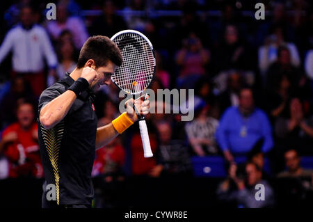 Londres, Royaume-Uni. 11 novembre 2012. Novak Djokovic célèbre gagner contre Juan Martin del Potro argentines pendant la première demi-finale de la Barclays ATP World Tour finale au O2 Arena. Alamy Live News Banque D'Images