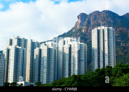 Logement de Hong Kong sous le rocher du Lion du paysage Banque D'Images