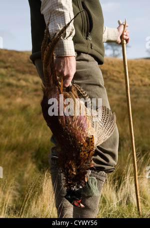 Homme Femme garde-chasse tir shoot huntsman faisans faisan gibier chasse chasseur pousse brace holding hunter plumes oiseaux rural campagne Banque D'Images