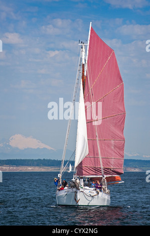 Un voilier gréé avec tanbark voiles couleur participe à une course de voilier à Port Townsend, Washington, USA. Banque D'Images