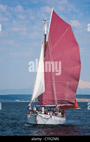 Un voilier gréé avec tanbark voiles couleur participe à une course de voilier à Port Townsend, Washington, USA. Banque D'Images