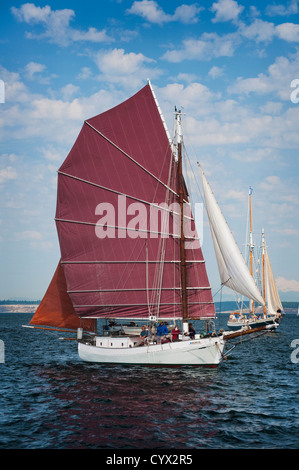 Un voilier gréé avec tanbark voiles couleur participe à une course de voilier à Port Townsend, Washington, USA. Banque D'Images