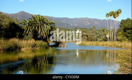 Avis de Montecito, Californie dans la Andree Clark Bird Refuge Banque D'Images