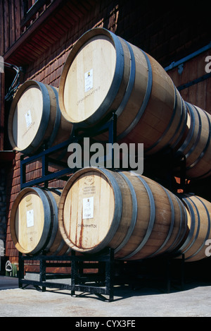 Des tonneaux de vin en bois empilés côte à côte dans le vieillissement Fermentation Racks dans Winery, Oliver, BC, British Columbia, Canada Banque D'Images