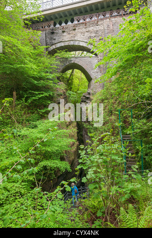 Pays de Galles, Pont du Diable Falls Banque D'Images