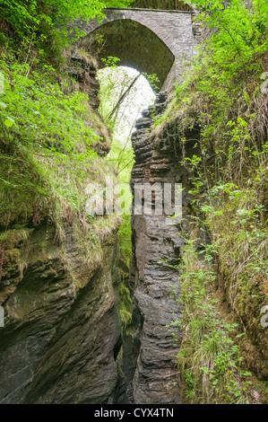 Pays de Galles, Pont du Diable Falls Banque D'Images