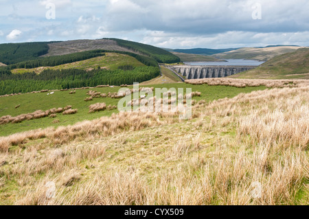 Moch Nant-y-Llyn Clywedog réservoir situé dans le nord du Pays de Galles, Ceredigion, Banque D'Images