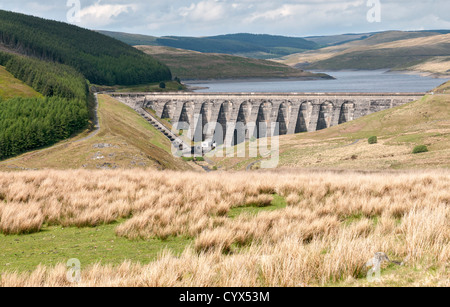 Moch Nant-y-Llyn Clywedog réservoir situé dans le nord du Pays de Galles, Ceredigion, Banque D'Images