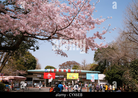 Zoo de Ueno, Tokyo, Japon Banque D'Images