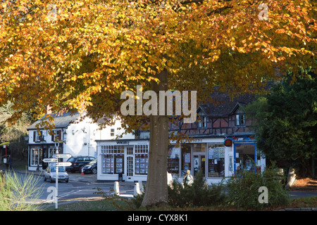 Burley New Forest, Hampshire, Angleterre Banque D'Images