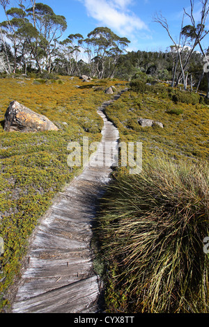 L'Overland Track. La Tasmanie, en Australie. Banque D'Images