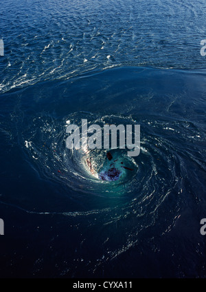 La France Rance Usine marémotrice Whirlpool causés par l'eau de marée qui descendent par les producteurs d'électricité sous le barrage Banque D'Images