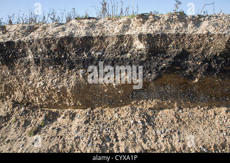 Profil de falaise de dépôts sédimentaires marins couches couches de litage Benacre, Suffolk, Angleterre Banque D'Images