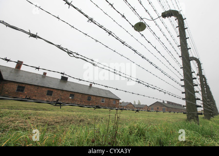 Camp d'extermination nazi d'Auschwitz, en Pologne. Clôtures de barbelés Wirs Banque D'Images
