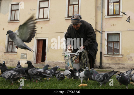 Vieille Femme nourrit les oiseaux Zamosc, Pologne Banque D'Images