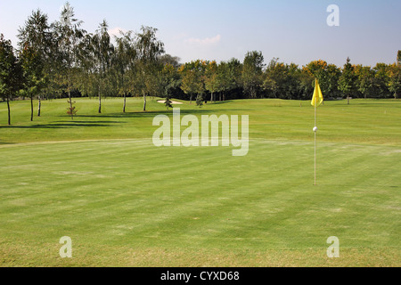 Trous de golf sur l'herbe verte, marquée d'un drapeau jaune Banque D'Images