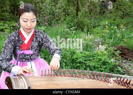 Femme japonaise en costume traditionnel jouant harpe Koto Classique Classique femme femmes fille Dame Public âgés Historique Banque D'Images