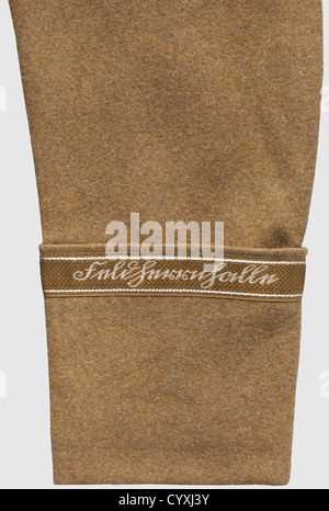 Sa Standarte Feldherrnhalle, uniforme d'un Unterturmführer le manteau fait de tissu brun olive, doublure en soie brune, les taches de collier rouge carmin avec un cording en celle continu, le patch droit avec un Wolfsangel appliqué avec emblème sa, le patch gauche avec étoiles de rang.les épaulières avec sous-couche grise et emblème appliqué du Standhhalnle.Feldle.Beerro Bracelet tissé avec inscriptions « Feldherrnhalle », bracelet, ruban EK2 et boucles de quelques ordres. Inclus : culottes d'équitation avec cravates, doublure en soie avec étiquette « SA-Stiefelhose », histoi, droits supplémentaires-Clearences-non disponibles Banque D'Images