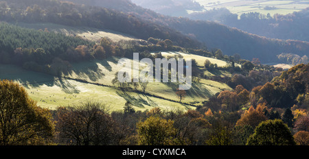 Paysage d'AUTOMNE DE NR HEWELSFIELD, commune de la vallée de la Wye, Gloucestershire England UK Banque D'Images