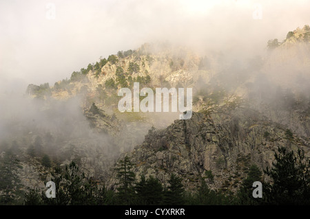 Montagne de la restonicat sous les nuages en automne haute Corse 2b France Banque D'Images