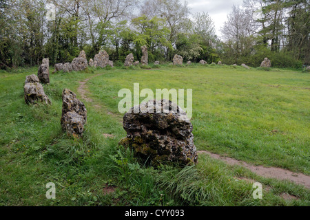 Les hommes du roi Stone Circle, une partie de l'Rollright Stones, près de Chipping Norton, Oxfordshire, UK. Banque D'Images