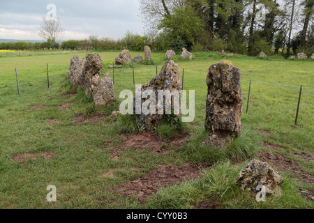 Les hommes du roi Stone Circle, une partie de l'Rollright Stones, près de Chipping Norton, Oxfordshire, UK. Banque D'Images